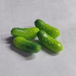 Mini Cucumber